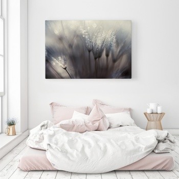 Morning dew on plants