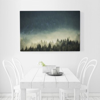 Fotolærred Fog in virgin forest