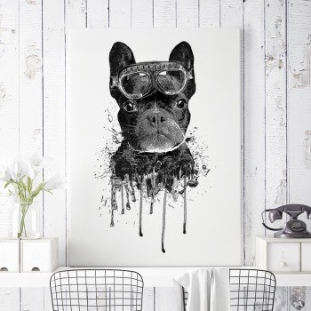 Fotolærred Aeronaut