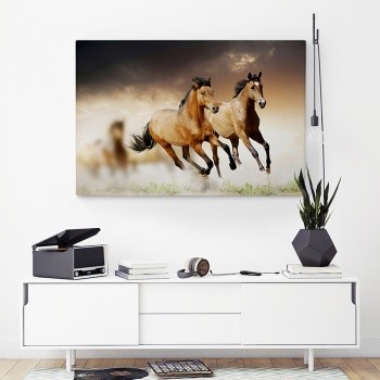 Fotolærred Horses in the wild