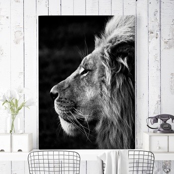 Fotolærred Lion King