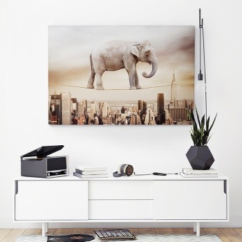 Fotolærred Elephant walk the line