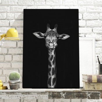 Giraffe portrait