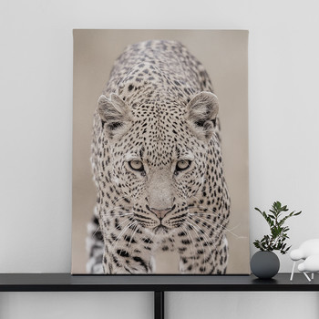 Fotolærred Leopard