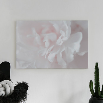 Fotolærred Pink flower Three