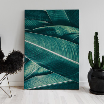 Fotolærred Banana leaf close