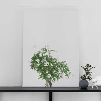 Fotolærred Wood anemones