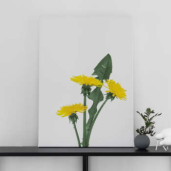 Fotolærred Dandelions