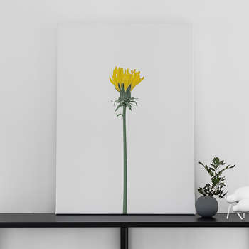 Fotolærred Dandelion