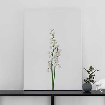 Fotolærred Lily of the valley