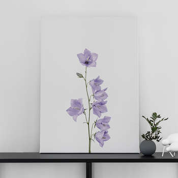 Fotolærred Bluebell