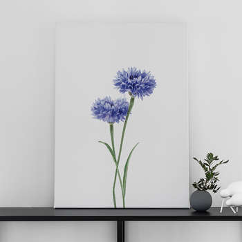 Fotolærred Cornflower