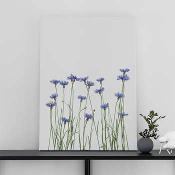 Fotolærred Cornflowers
