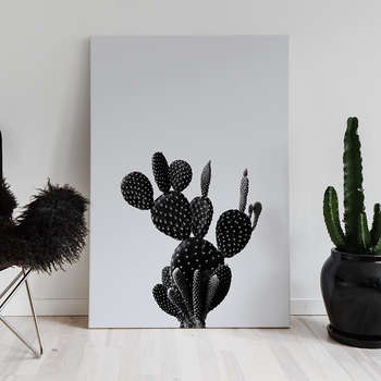 Fotolærred Black cactus 1