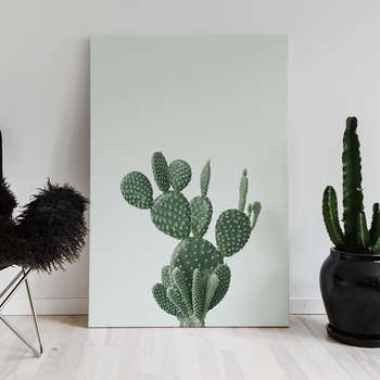 Fotolærred Green cactus 1