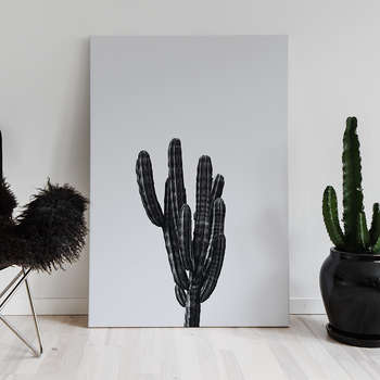 Fotolærred Black cactus 2