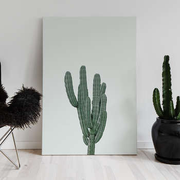 Fotolærred Green cactus 2