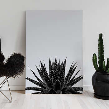Fotolærred Black cactus 3