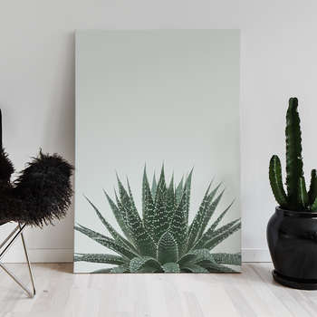 Fotolærred Green cactus 3