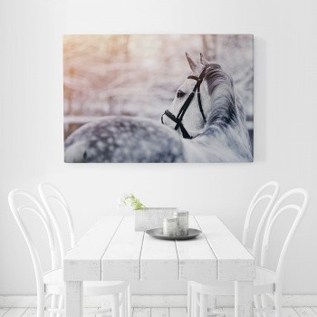 Fotolærred Horse in winter landscape