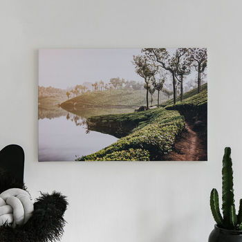 Fotolærred Road next to water