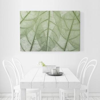 Transparent leaves in green colors