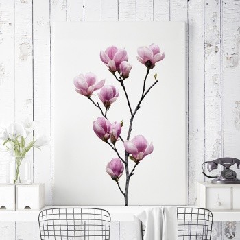 Fotolærred Pink Magnolia