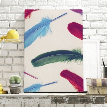 Fotolærred Feathers spread out