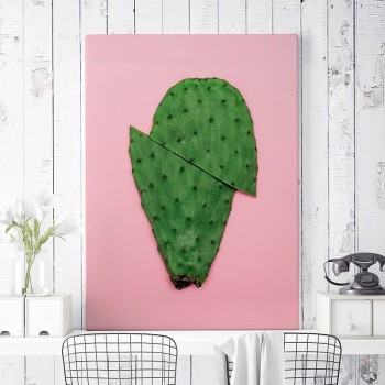 Fotolærred Cactus [Organic]