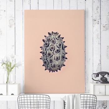 Fotolærred Kiwano [Organic]