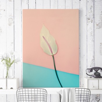 Fotolærred Organic [3]