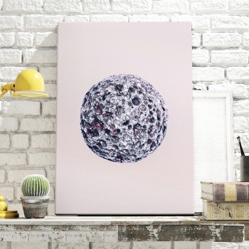 Fotolærred Organic [2]