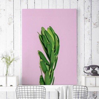 Fotolærred Organic [5]