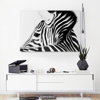 Canvastavla Zebra closeup-0